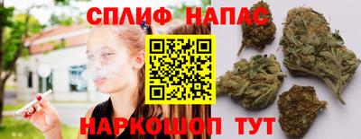 МДПВ Можга
